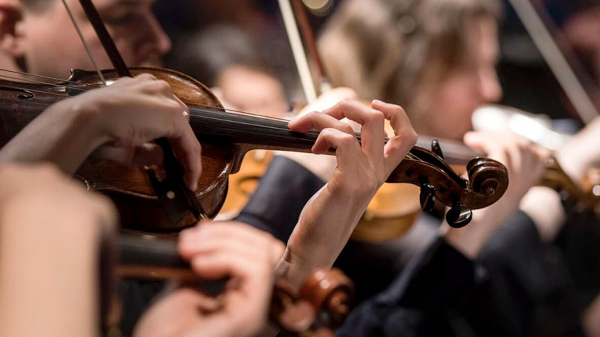 A musician plays a violin at a performance