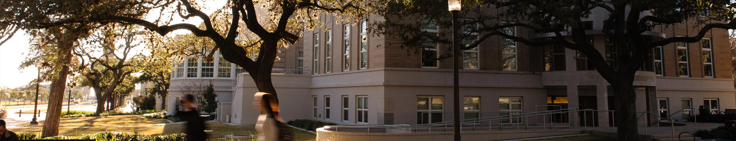 Students walking down Military Walk; the sun is casting long shadows behind the trees